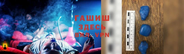стаф Верея